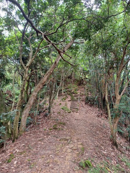 【台中北屯】南觀音山步道2933192