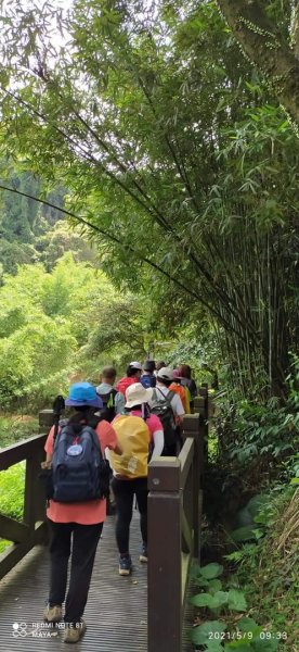 天上山（小百岳集起來）- 前半段路徑和靄可親、後半段面目猙獰1379313