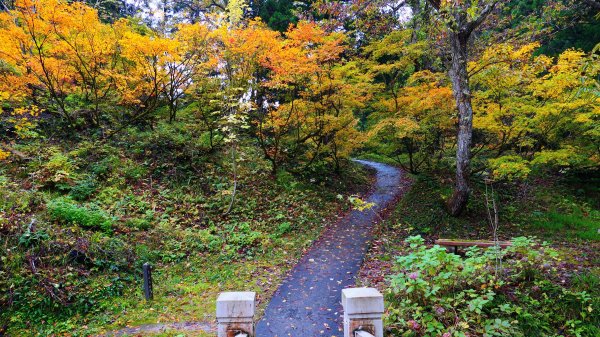 山形縣銀山溫泉2929650