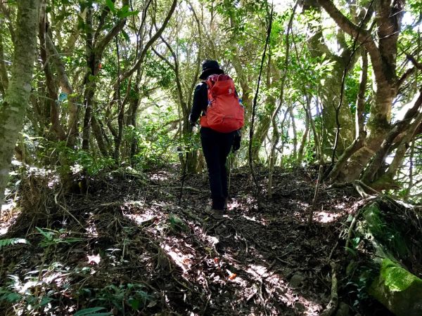 大混山連走李崠山397894