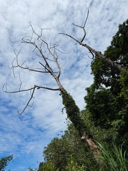 埔里能高瀑布-慶安步道-觀景台2801461