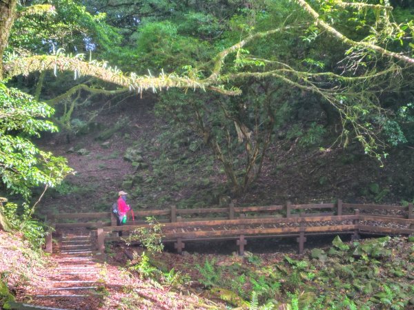 稍來小雪山國家步道、船型山、鞍馬山、鞍馬山東北峰、天池、雪山神木2799836