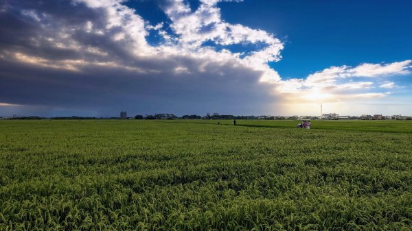 三奇美徑,52甲濕地,傳藝中心2518177