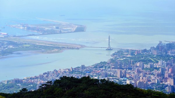 向天蝦不蝦2936825