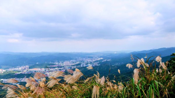 你若來汐止2961411