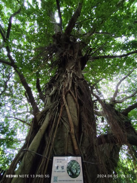 走訪新北市中和區及土城區的名勝古蹟：圓通禪寺、牛埔頭山、新加坡山2518375