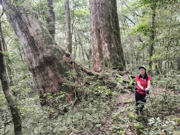 唐穗山11408162860913