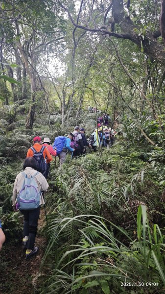 2025-1130 新店三(二)潭縱走2966896