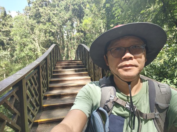 [百山百鳥尋旅-05/15] 2025_0830 溪頭賞鳥步道_銀杏步道2875534