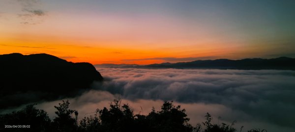 #翡翠水庫壩頂 #日出 #雲海 #夕陽 4/203039613