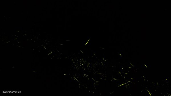 翡翠水庫壩頂 #火燒雲雲海 #日出雲海 #鱷魚島 #藍腹鷴 4/292773441