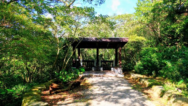 向天蝦不蝦2936839