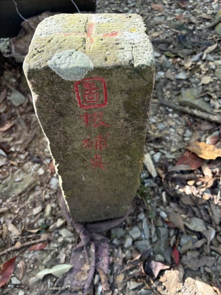 20251207藤枝山步道2957636