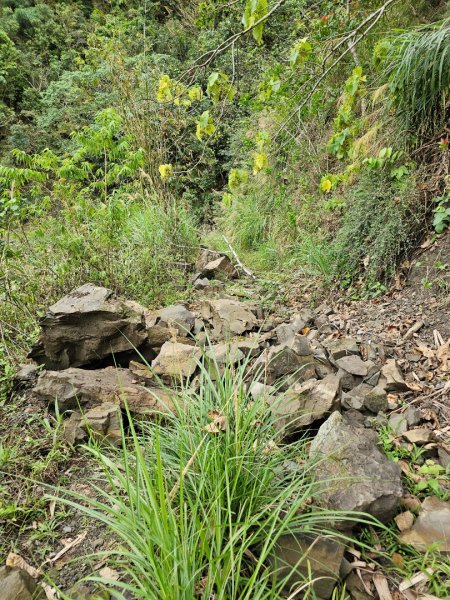 西阿里關山-小百岳#66-高雄市甲仙區2750007
