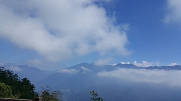 東卯山步道 - 谷關七雄老五 2017 10 27194933