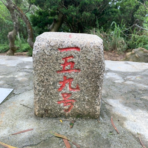 20250426苗栗火炎山2772799
