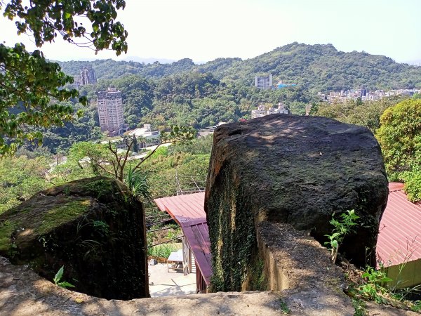 象獅豹虎-四獸山探秘之象山秘境（2-1 捷運象山站→無極瑤池宮）2065545