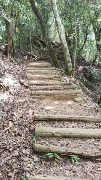 20251004 馬那邦山 - 珠湖 登山口2904835