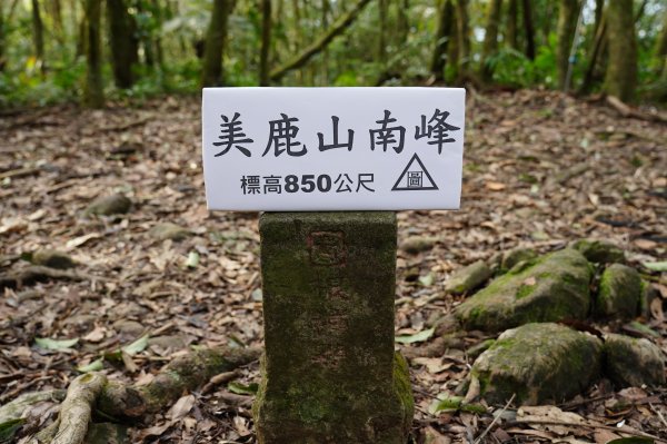 新北 烏來 美鹿山、高腰山、拔刀爾山、小巫山2703483