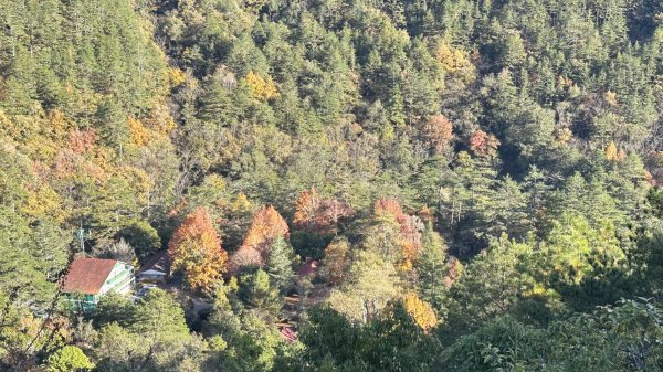 馬武霸下武陵2962388