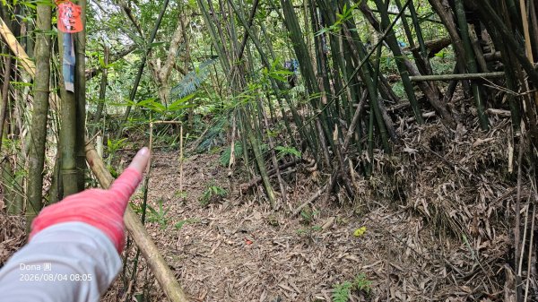 頭城農場→梗枋百年古道→坪溪古道→象寮古道→石空古道→石空山→岩藏山O型3097575