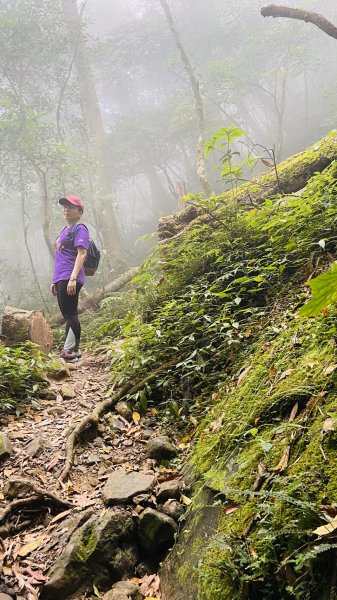 新竹內鳥嘴山+北德拉曼步道1009447