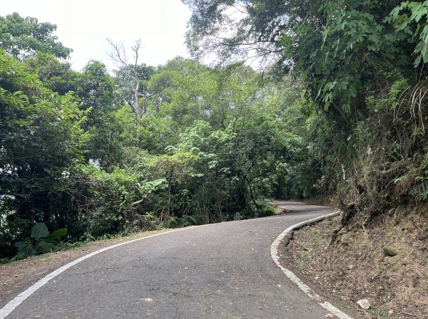 [皮皮獅Hike客任務-02/10] 2024_0720 渡南古道+飛鳳古道2557078