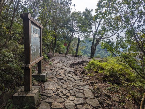 內湖金面山親山步道2484182