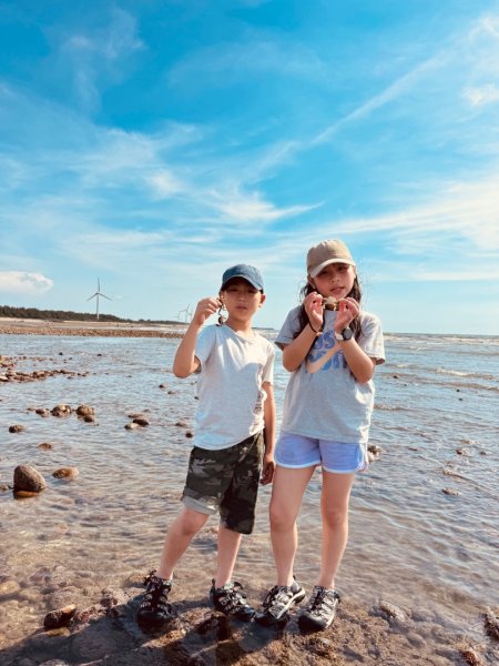 霄裡好風光2810044