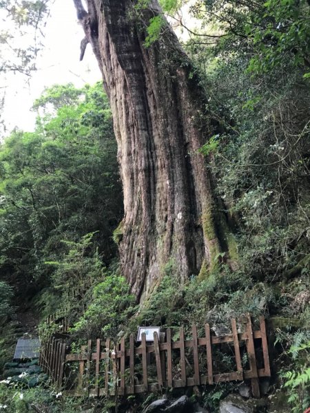 一日單攻第一座百岳獻給五嶽北大武山1009604