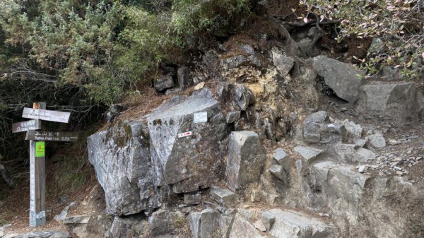 玉山前峰。石瀑大餐吃飽吃滿1482899