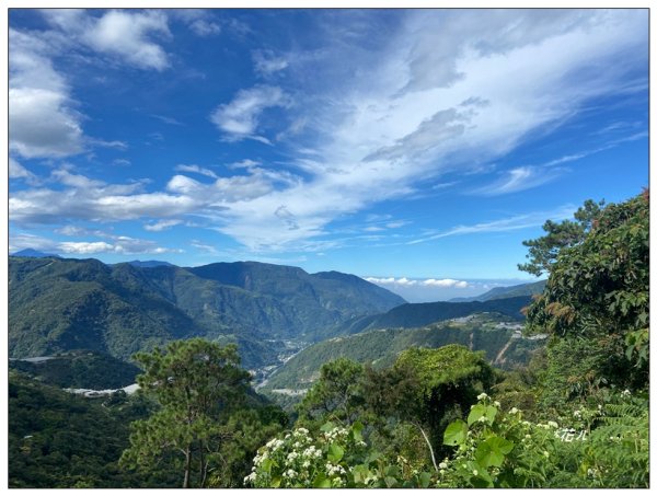 眉溪山茶園秘境2612526