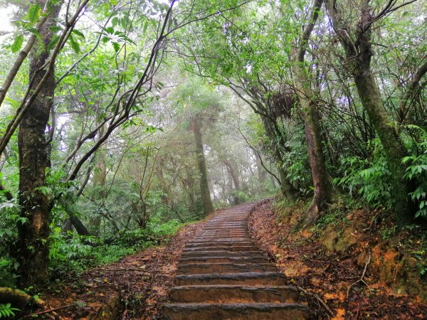 基隆七堵~雨霧中散步。 #小百岳姜子寮山867739