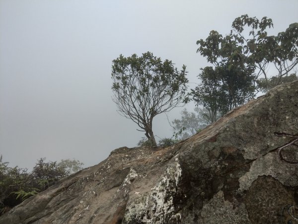 石牛山(小百岳)迷霧中登頂及陡坡探險之旅903800