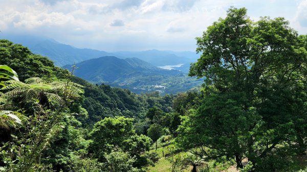 五寮尖，金平山，三民蝙蝠洞，觀音洞步道，基國派教堂，八德埤塘生態公園，中庄吊橋1798225