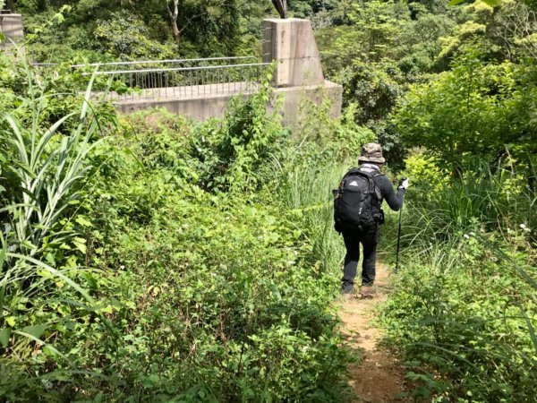 麒麟步道縱走田薯連峰1666520