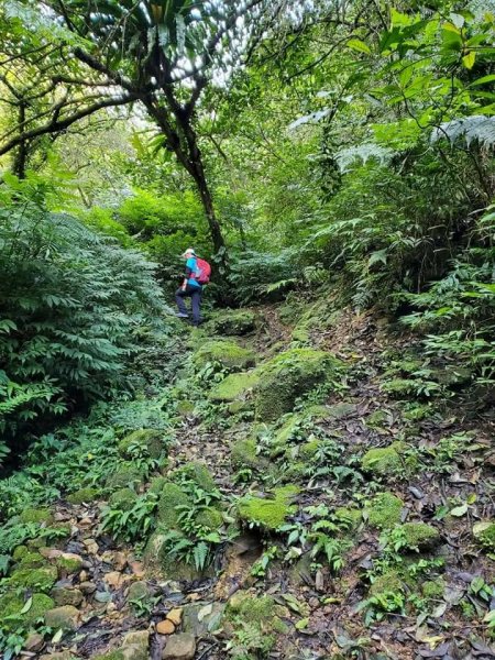 菁桐古道-五四縱走-汐止大尖山出1282819