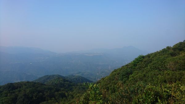 五指山古道O走-友蚋山-新山夢湖178446