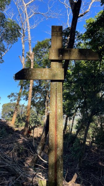 十份棟古道出雲端2688942