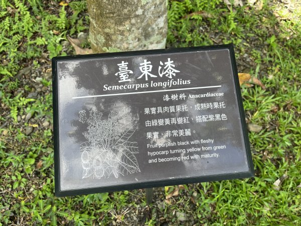 [屏步青雲 尋寶任務-03/10] 2024_0917 雙流國家森林遊樂區（瀑布步道）2597718