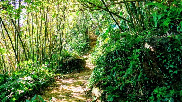 桃園石門山2916133