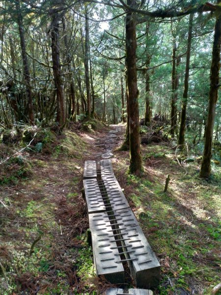 湖光山色－翠峰湖環山步道708036