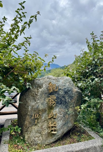 觀霧瀑布 賞鳥步道2926767