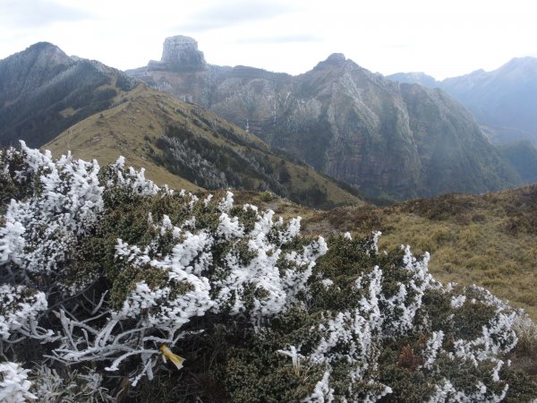 20200117-大霸尖山+小霸尖山812584