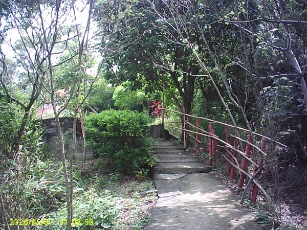 苗栗頭份「鹿廚坑步道」健走，順道拜訪濫坑山、鹿廚坑山、中央尖！3079124