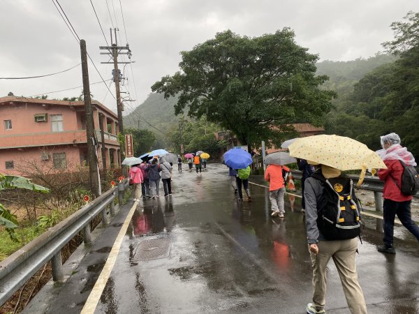 《2025草嶺古道芒花季｜雨天版完整攻略 × 七顆寶石路線實走》2949311
