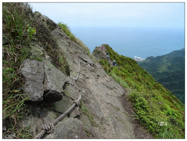 半平山步道(新北、瑞芳)2158605