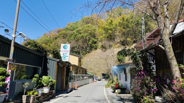 [南投信義八通關古道|雲龍瀑布清涼野餐1257127