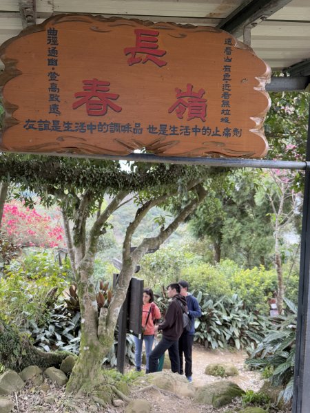 鳶山彩壁 202501312705573