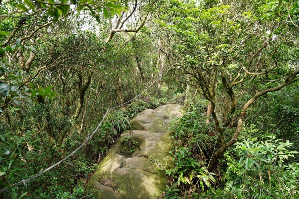 臺北 二格山、南邦寮山、阿柔洋山2570418